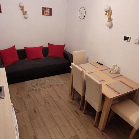 Apartament Miruna Sibiu Filarmonicii Ngoại thất bức ảnh